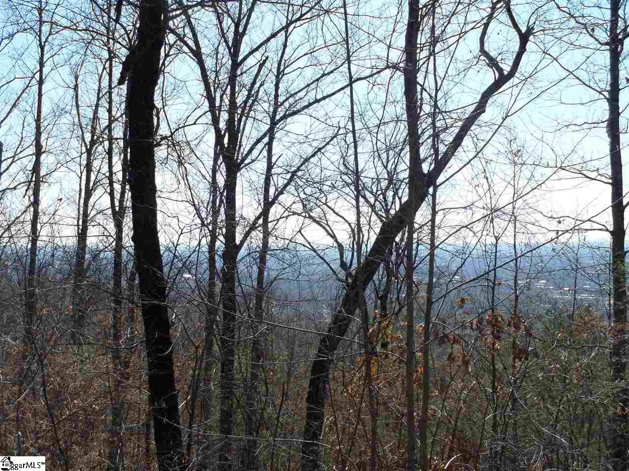 Property image 5 at 11 Altamont Road, Greenville, SC 29609