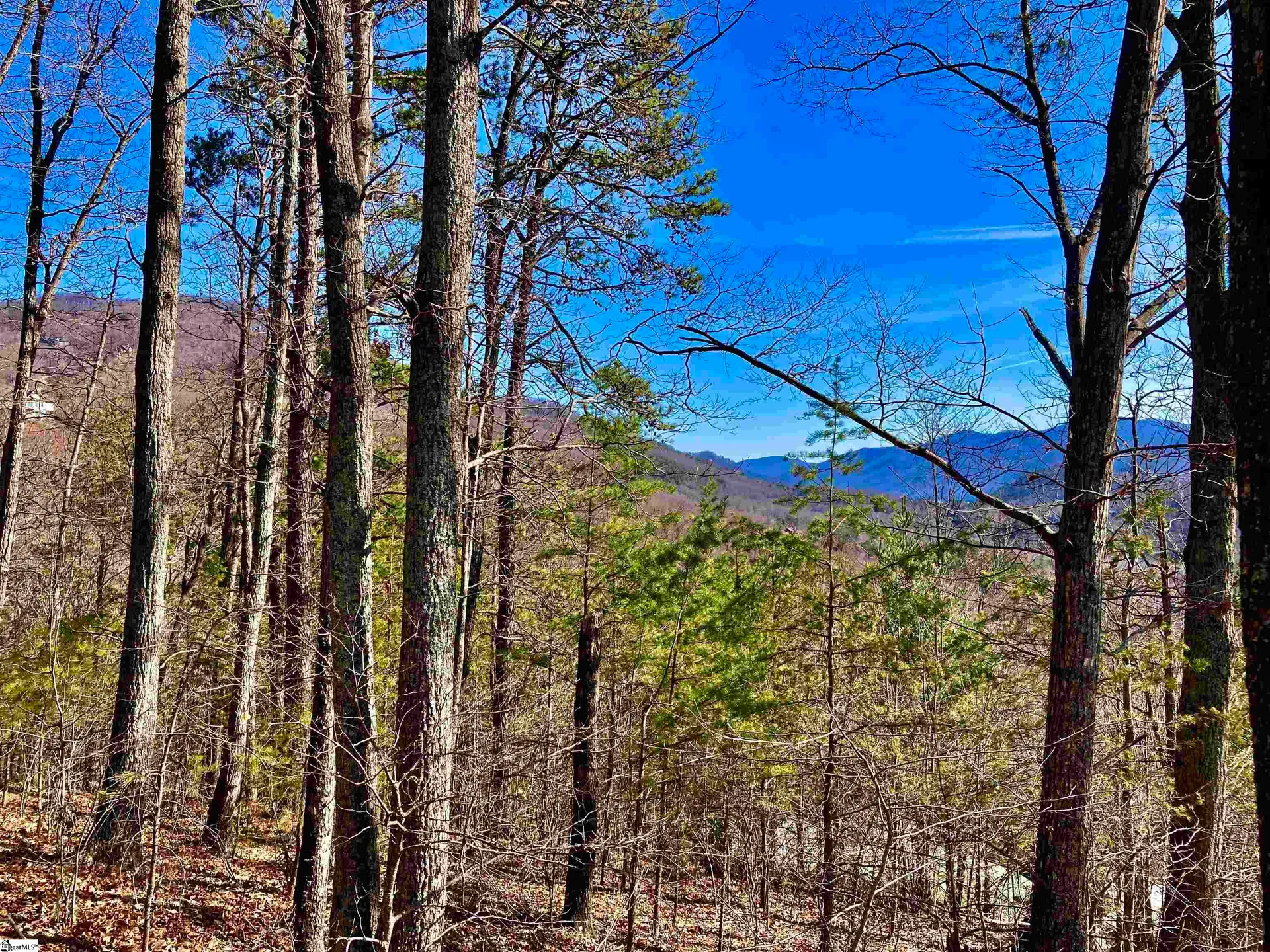 345 Mountain Summit Road