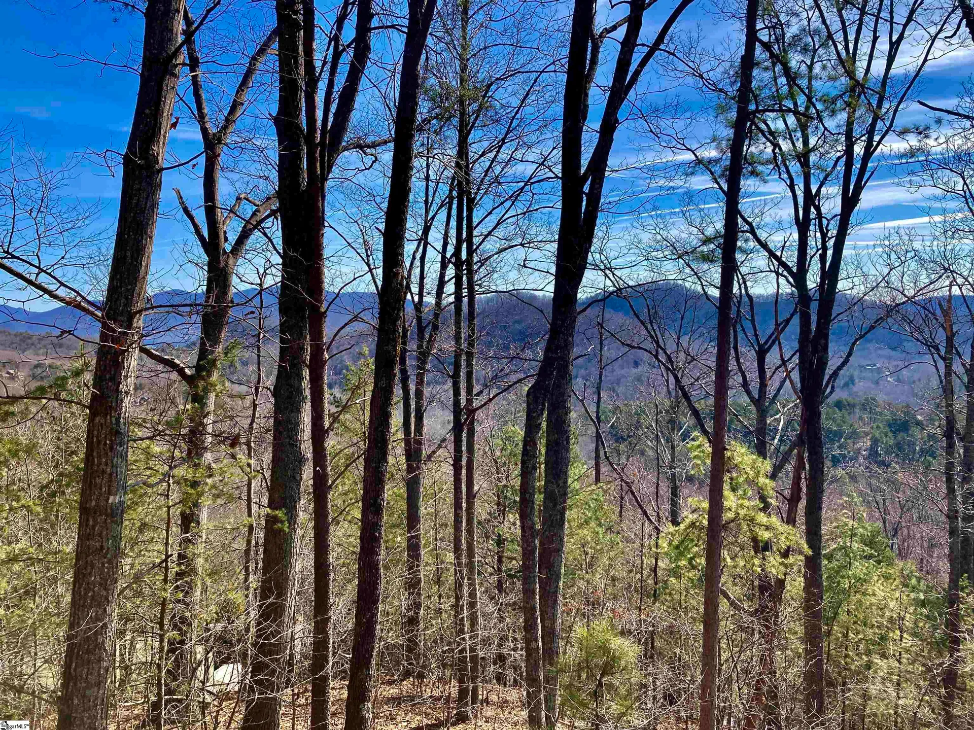 Property image 5 at 345 Mountain Summit Road, Travelers Rest, SC 29690