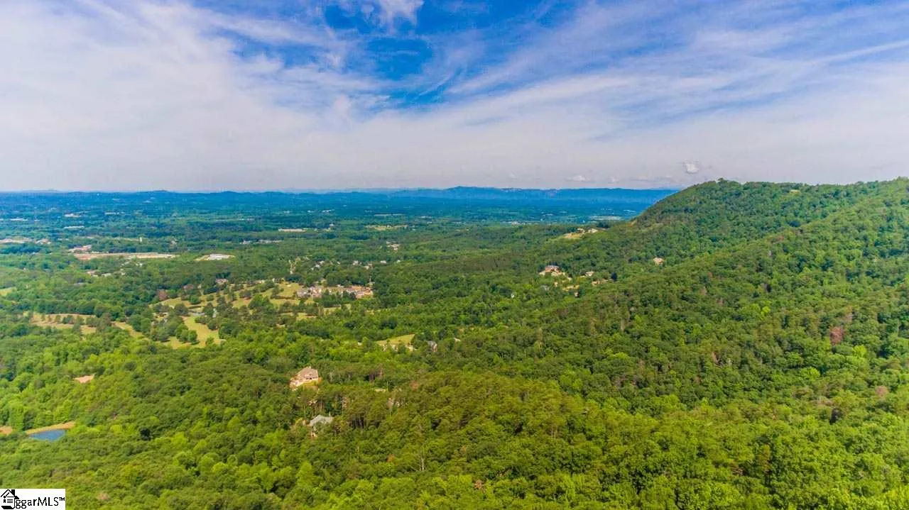 Property image 3 at Altamont Road, Greenville, SC 29609