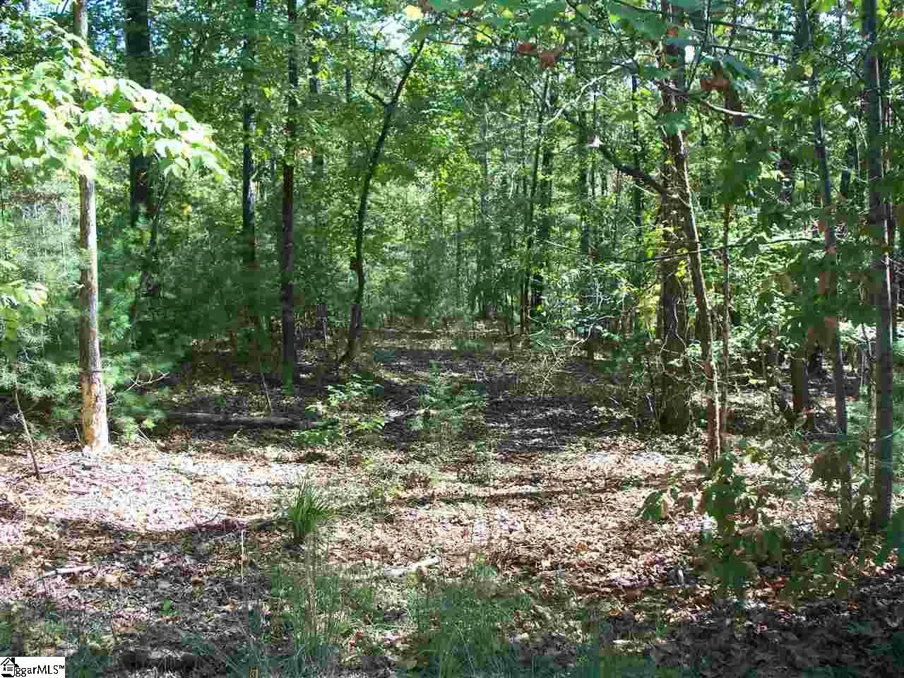 Property image 4 at 118 Holly Hill, Sunset, SC 29685
