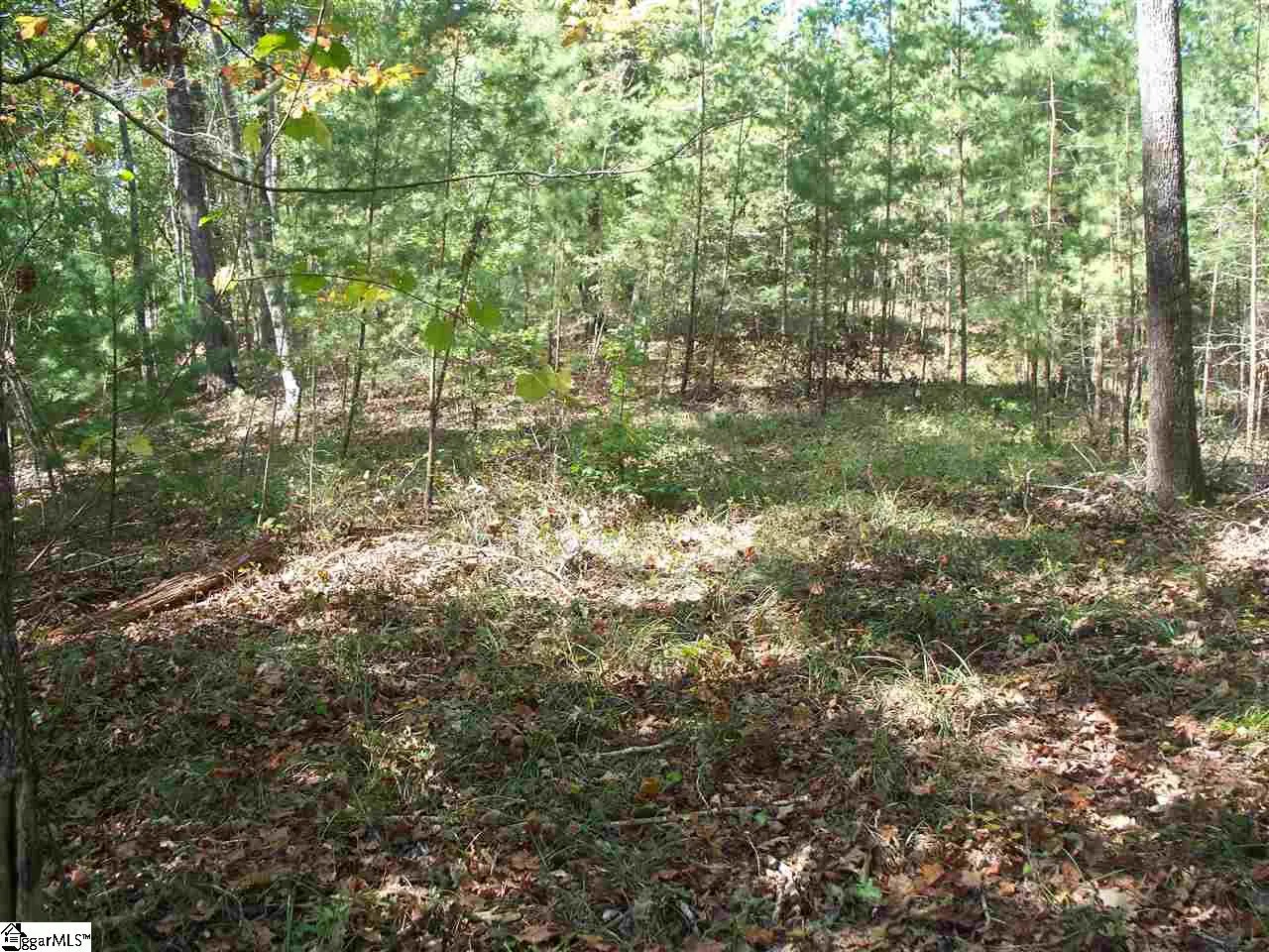 Property image 5 at 118 Holly Hill, Sunset, SC 29685