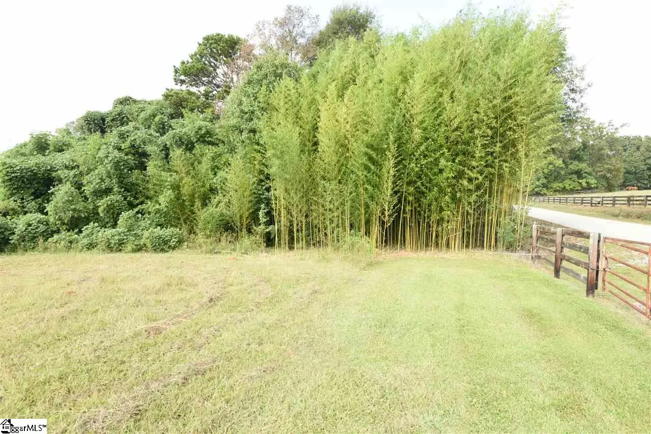 Property image 4 at 00 Dolphin Pond Lane, Fountain Inn, SC 29644