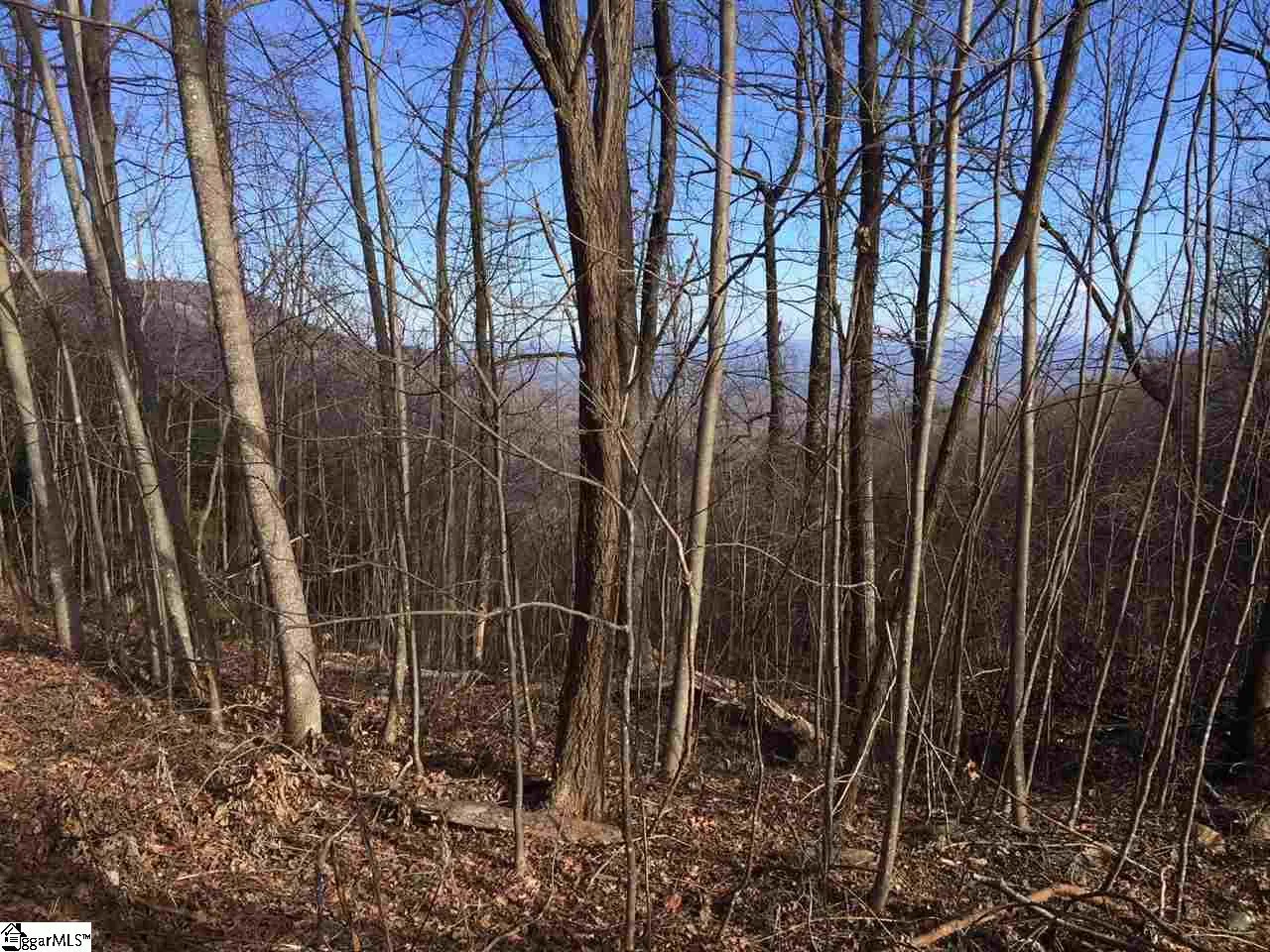 Property image 2 at 100 Deep Haven Lane, Landrum, SC 29356