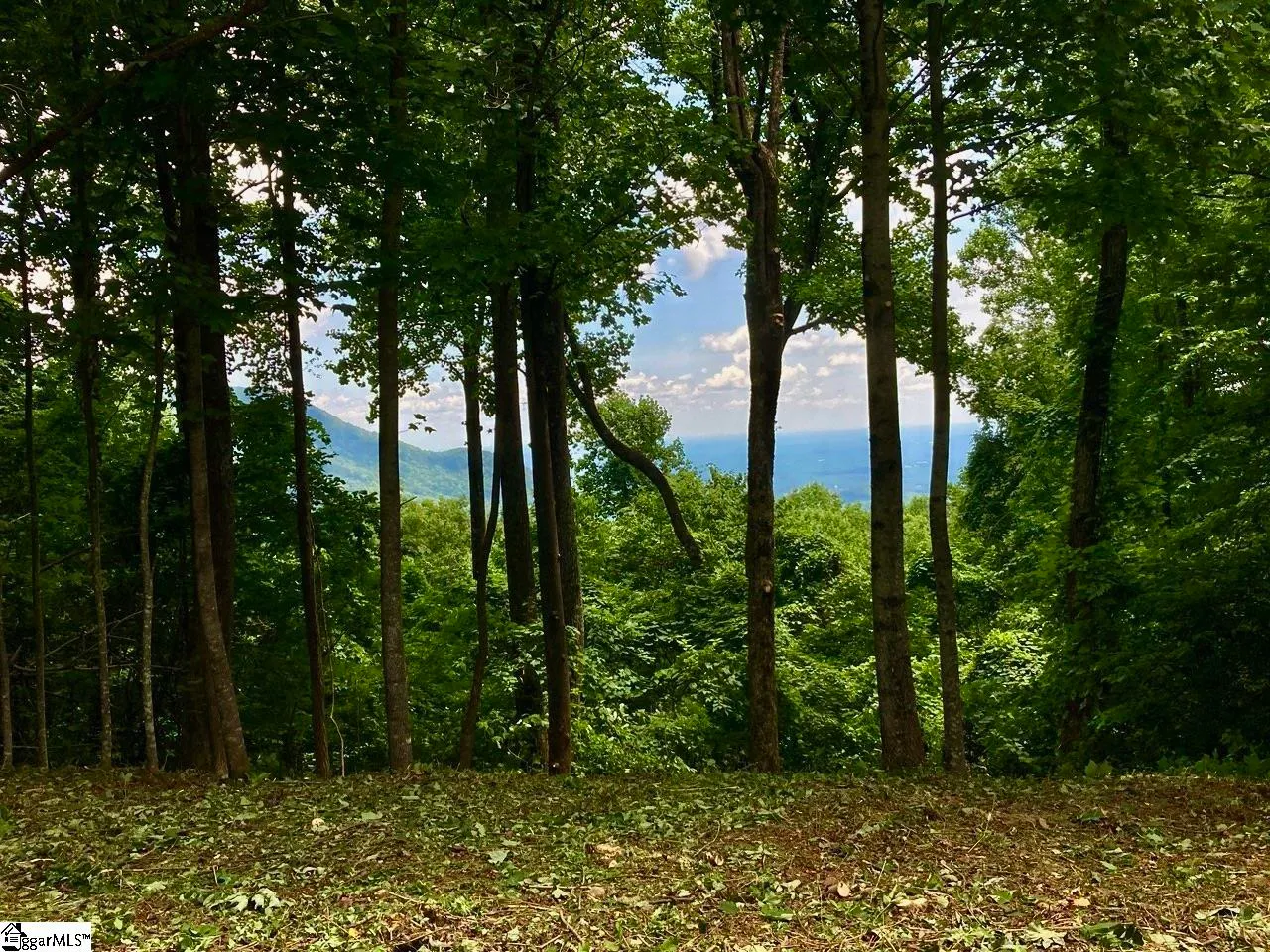 Property image 3 at 100 Deep Haven Lane, Landrum, SC 29356