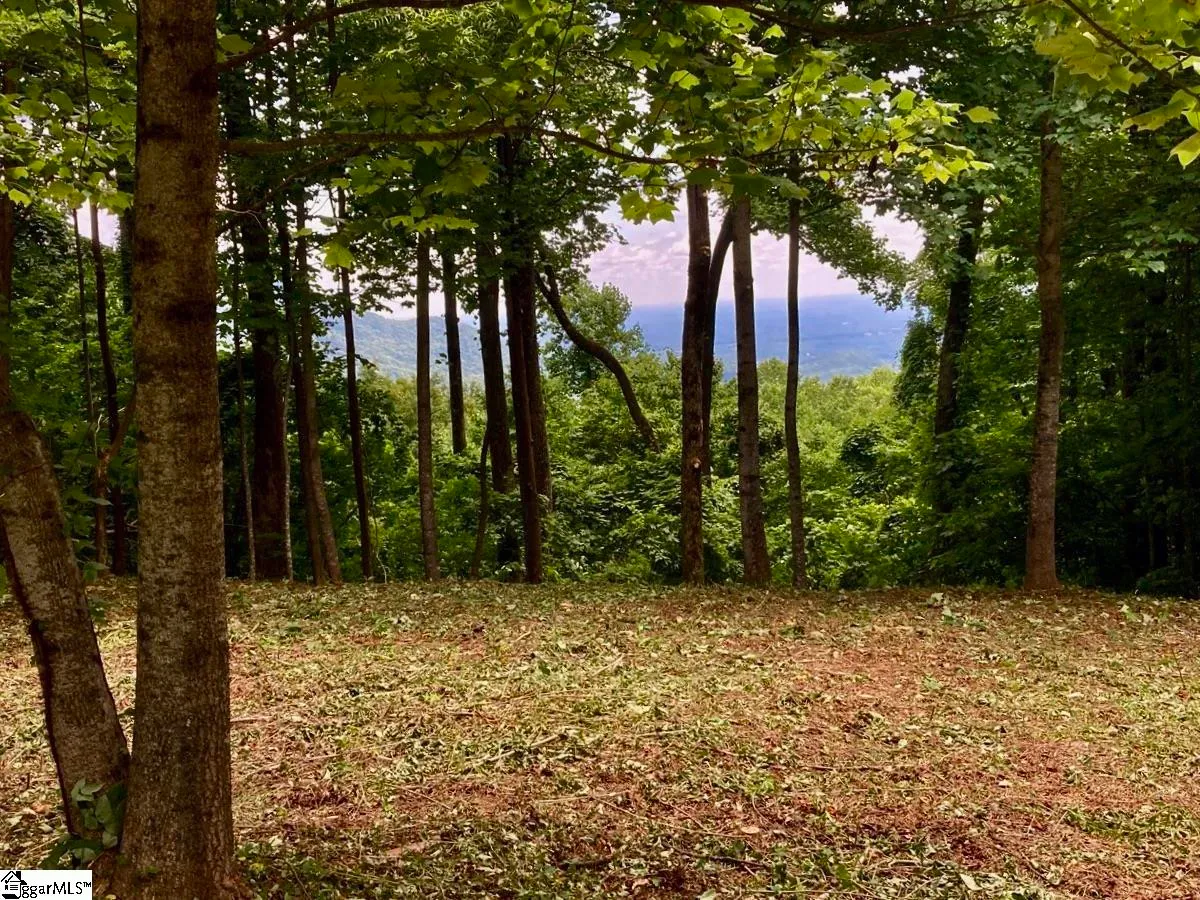 Property image 4 at 100 Deep Haven Lane, Landrum, SC 29356