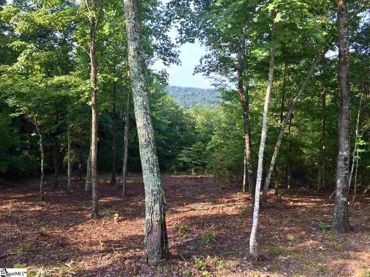 Property image 3 at 203 Blue Spruce Trail, Marietta, SC 29661