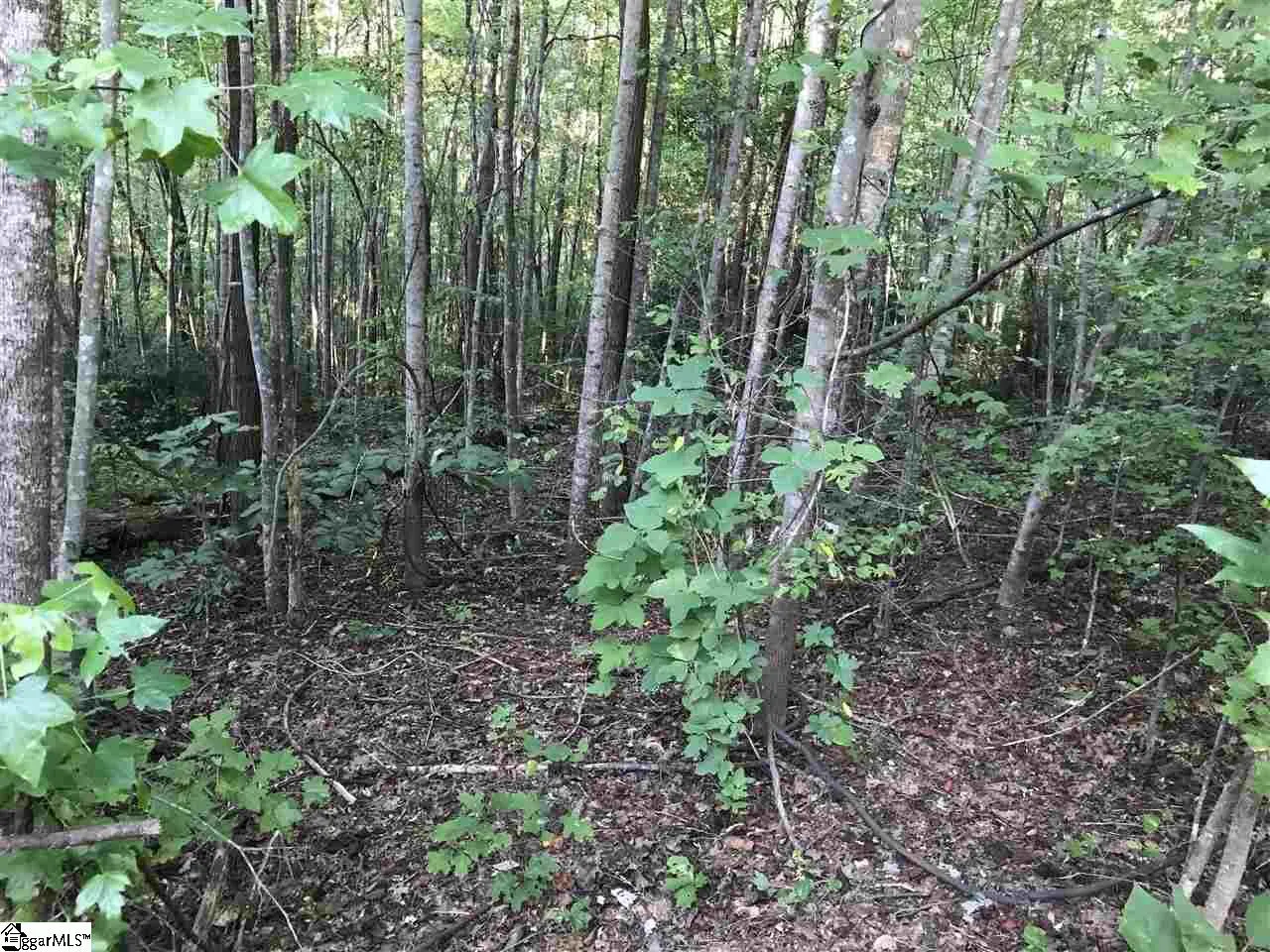 Property image 2 at 35 Terra Trace Way, Travelers Rest, SC 29690