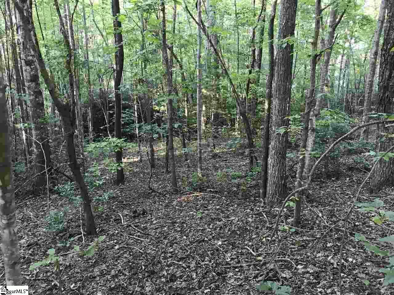 Property image 3 at 35 Terra Trace Way, Travelers Rest, SC 29690