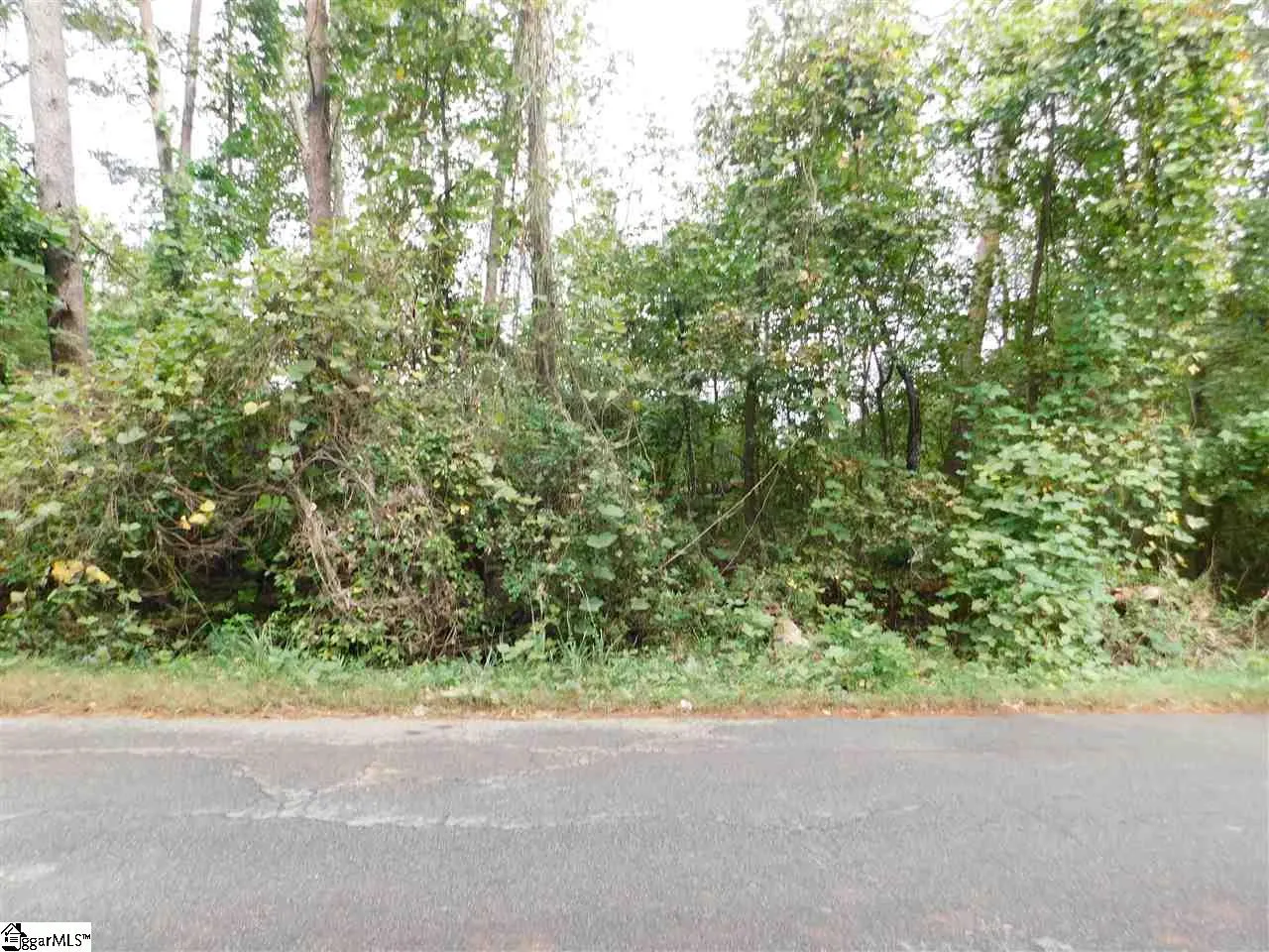 Property image 1 at 00 Cambridge Drive, Greenville, SC 29605