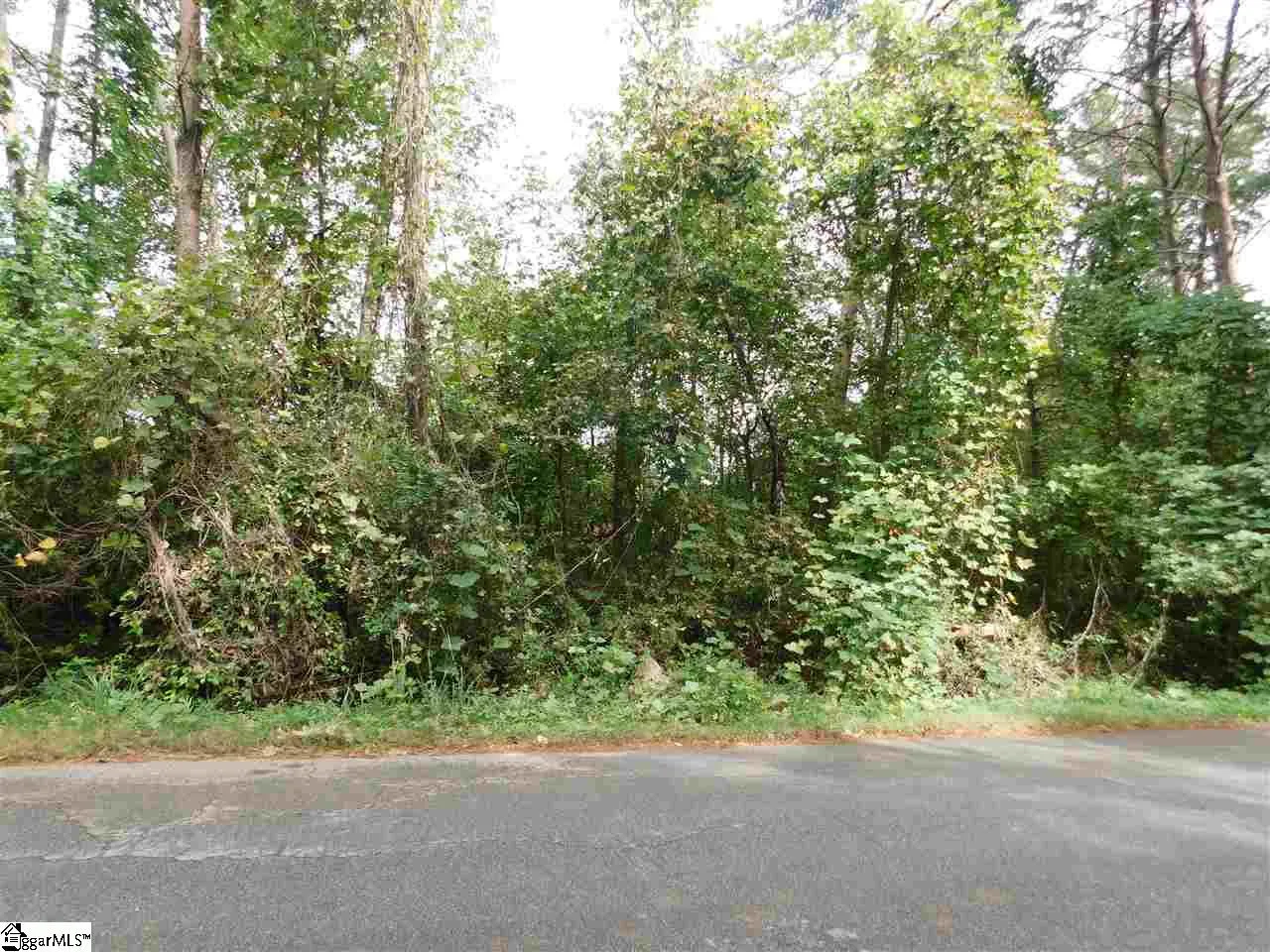 Property image 2 at 00 Cambridge Drive, Greenville, SC 29605