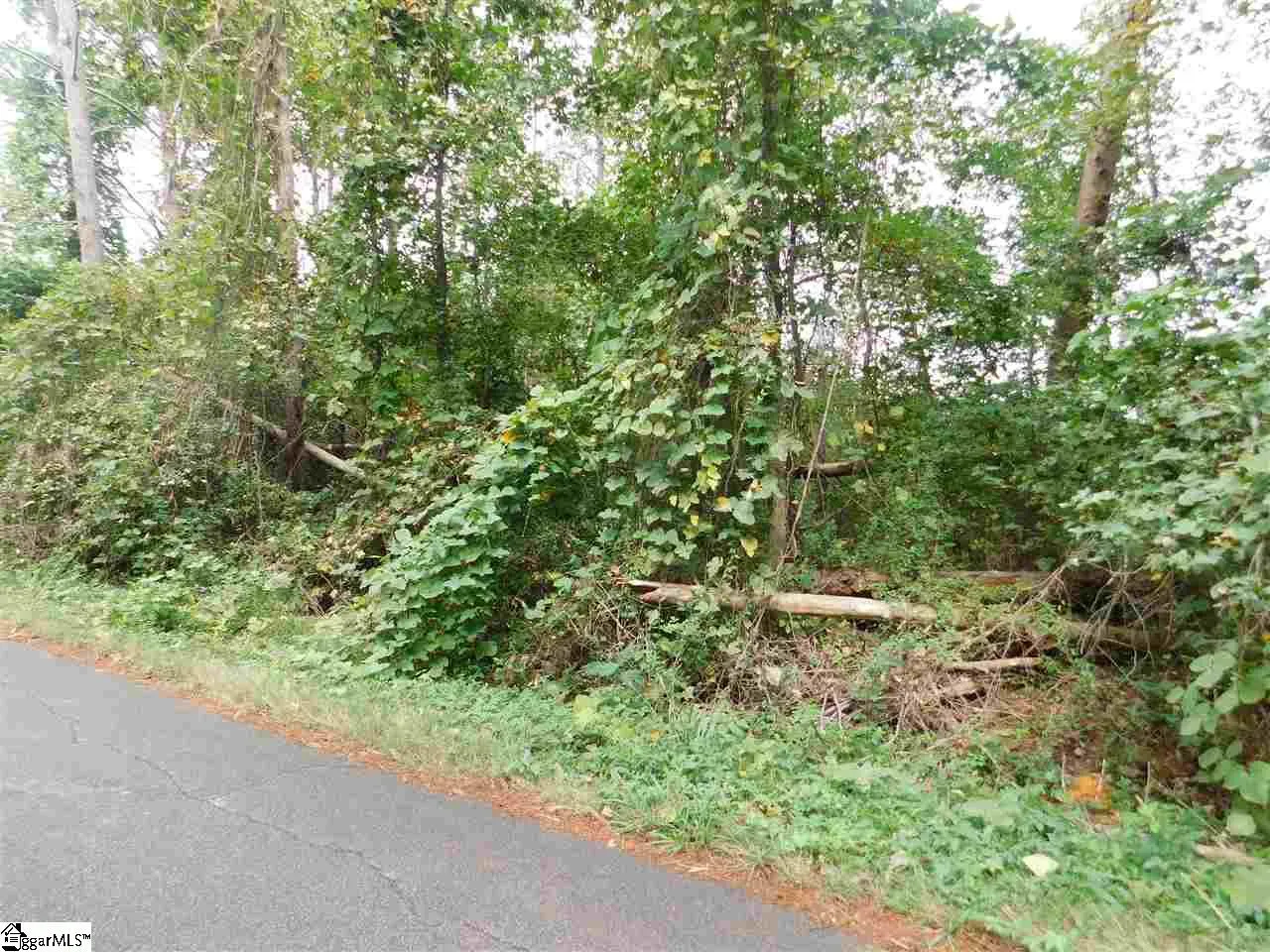 Property image 4 at 00 Cambridge Drive, Greenville, SC 29605