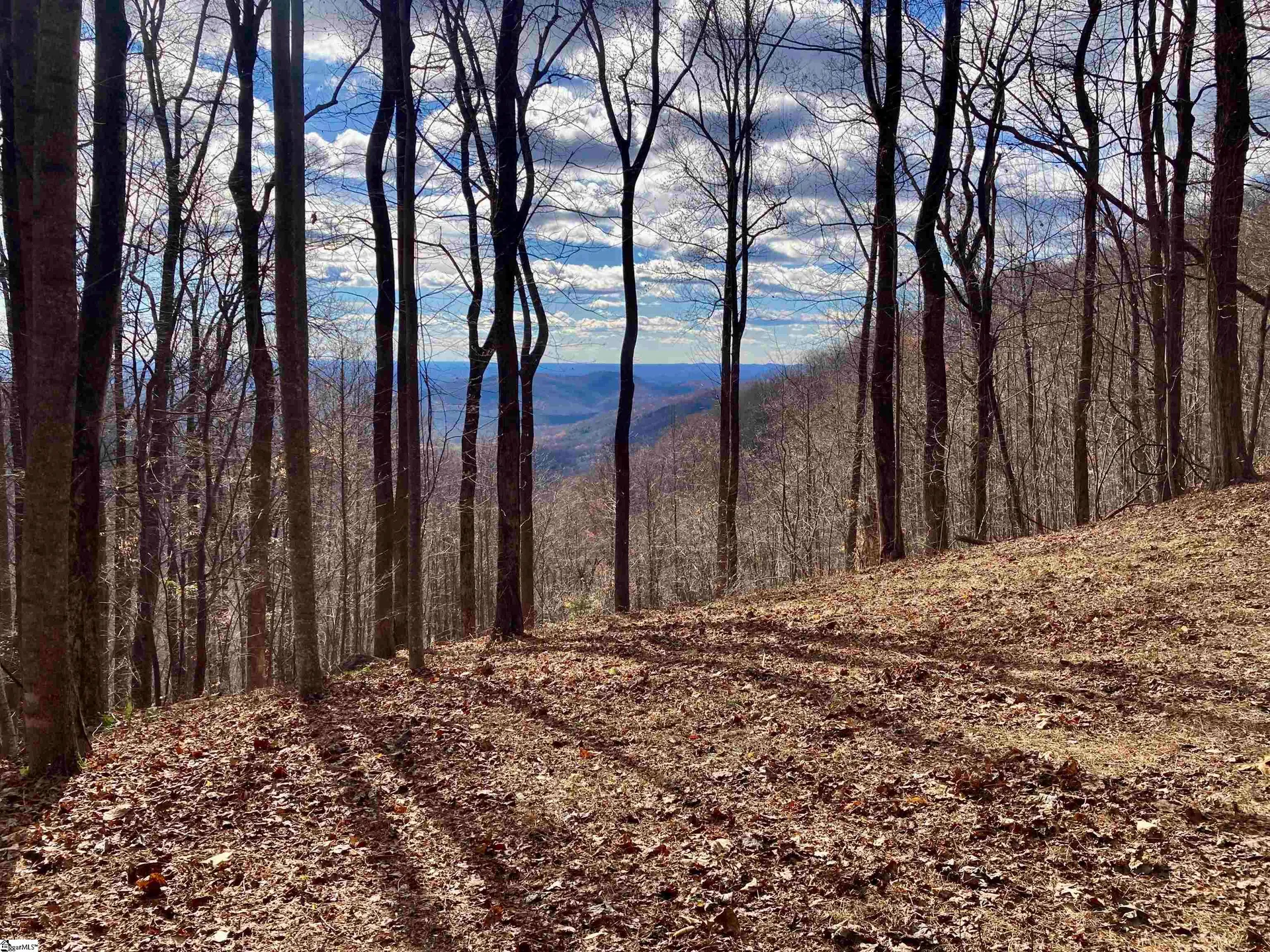 1347 Panther Park Trail