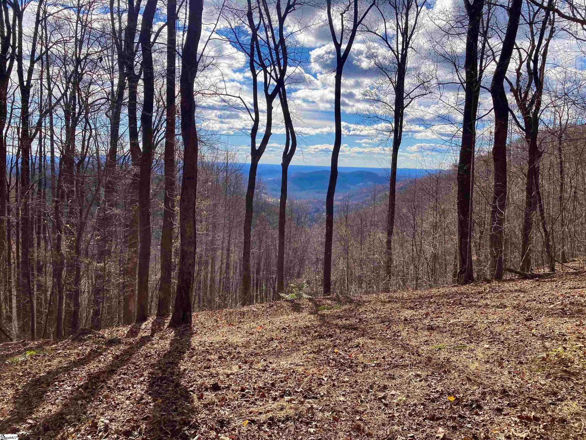 Property image 3 at 1347 Panther Park Trail, Travelers Rest, SC 29690