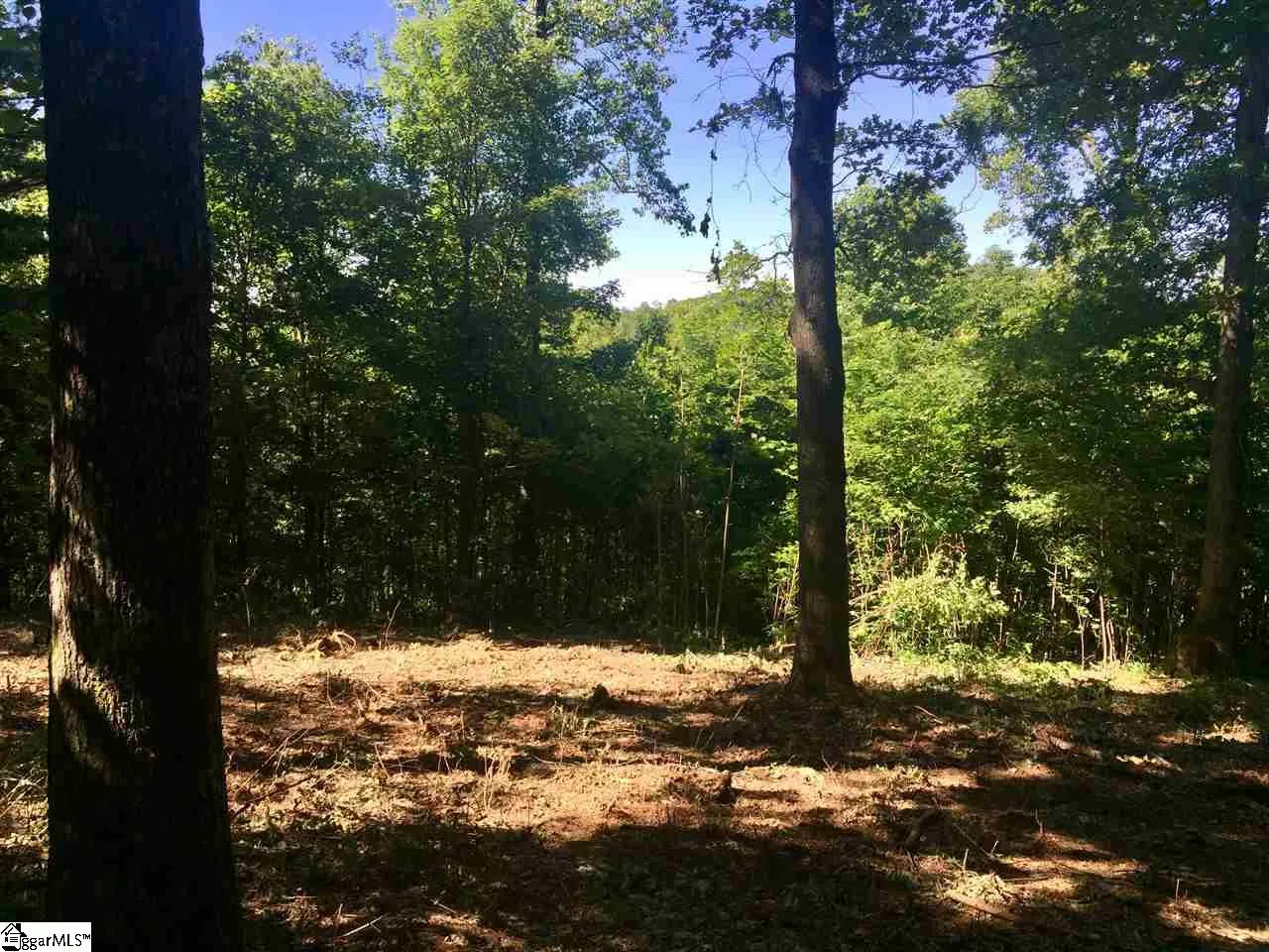 Property image 2 at 28 Wild Ginger Road, Landrum, SC 29356