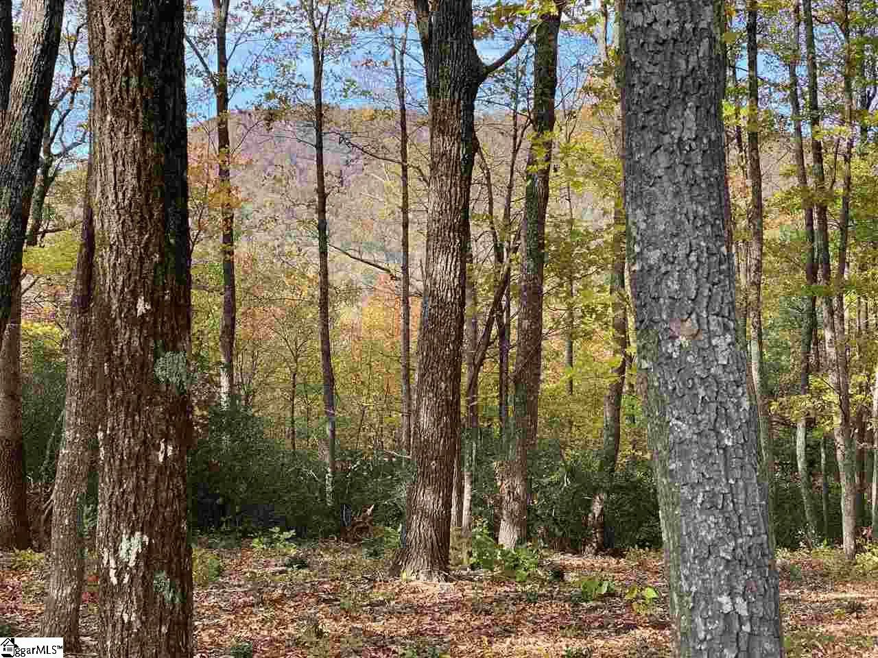 1526 Panther Park Trail