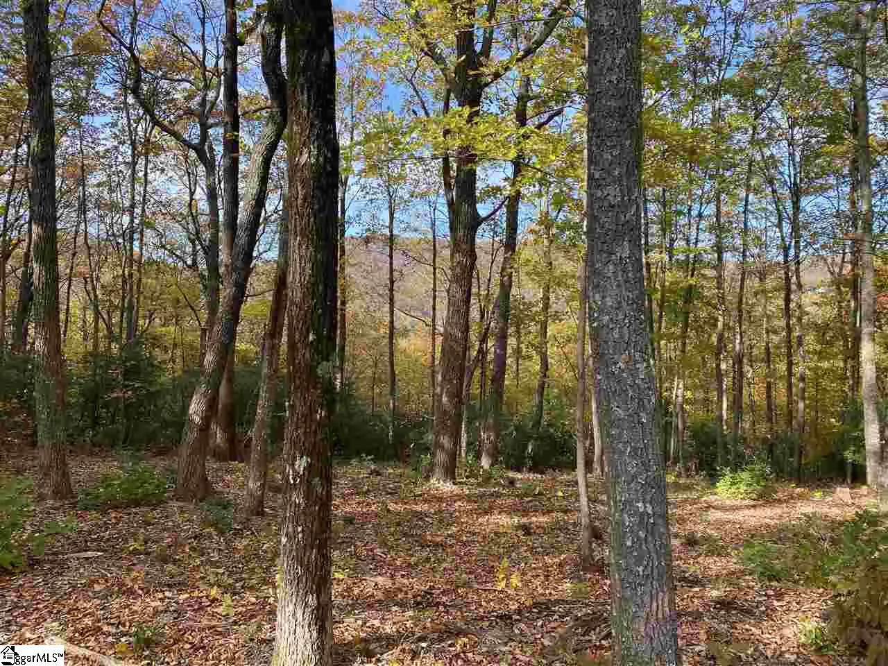 Property image 2 at 1526 Panther Park Trail, Travelers Rest, SC 29690