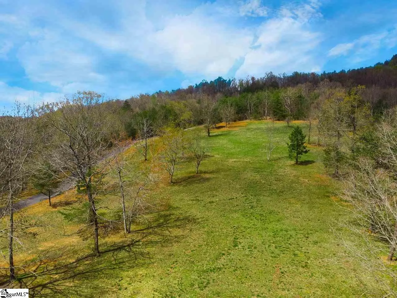 Property image 5 at 10 Knob Hill Lane, Landrum, SC 29356