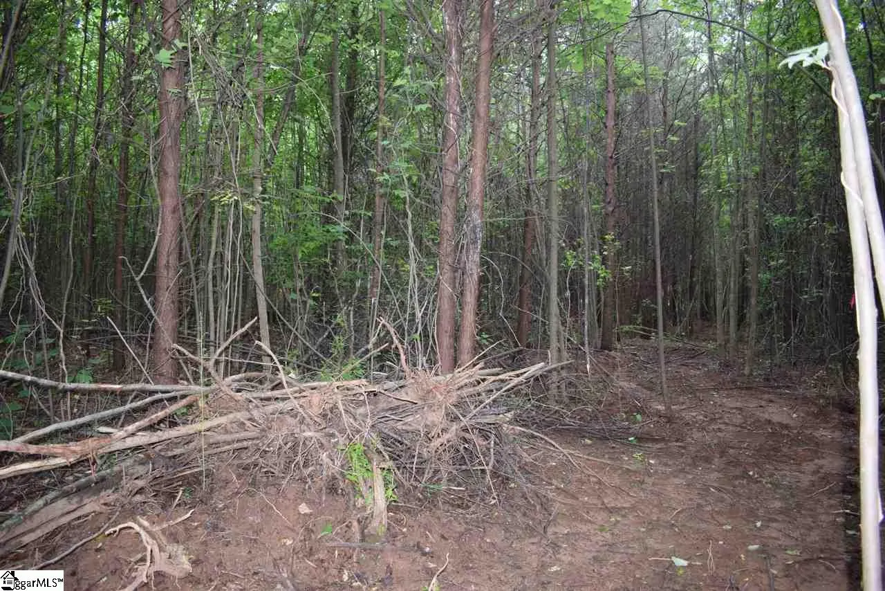 Property image 3 at 441 Grogan Road, Inman, SC 29349