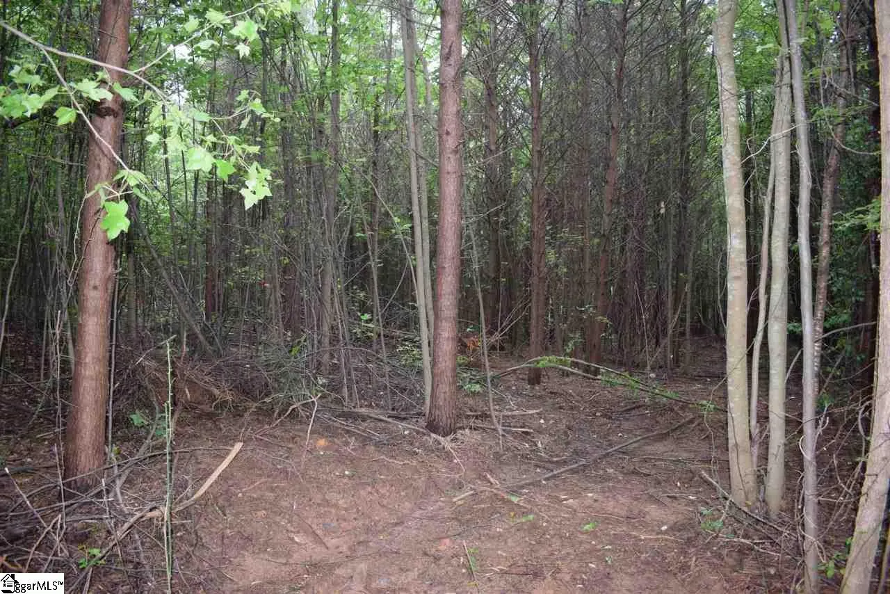 Property image 4 at 441 Grogan Road, Inman, SC 29349
