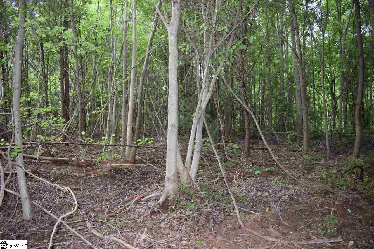 Property image 1 at 457 Grogan Road, Inman, SC 29349