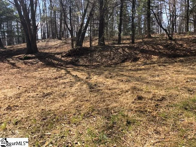 Property image 2 at 73 Needle Cragg Road, Landrum, SC 29356