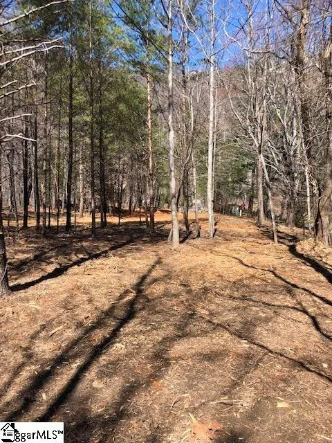 Property image 3 at 73 Needle Cragg Road, Landrum, SC 29356