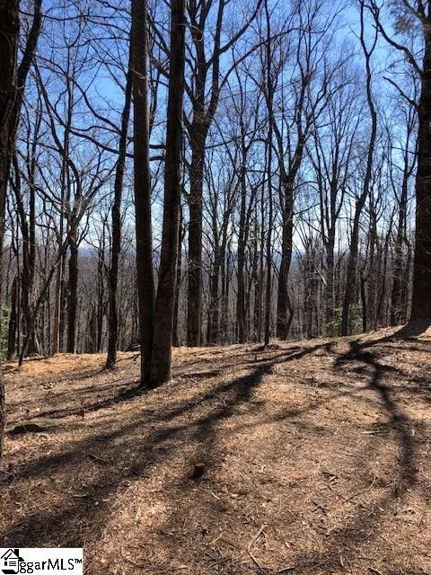 Property image 4 at 73 Needle Cragg Road, Landrum, SC 29356