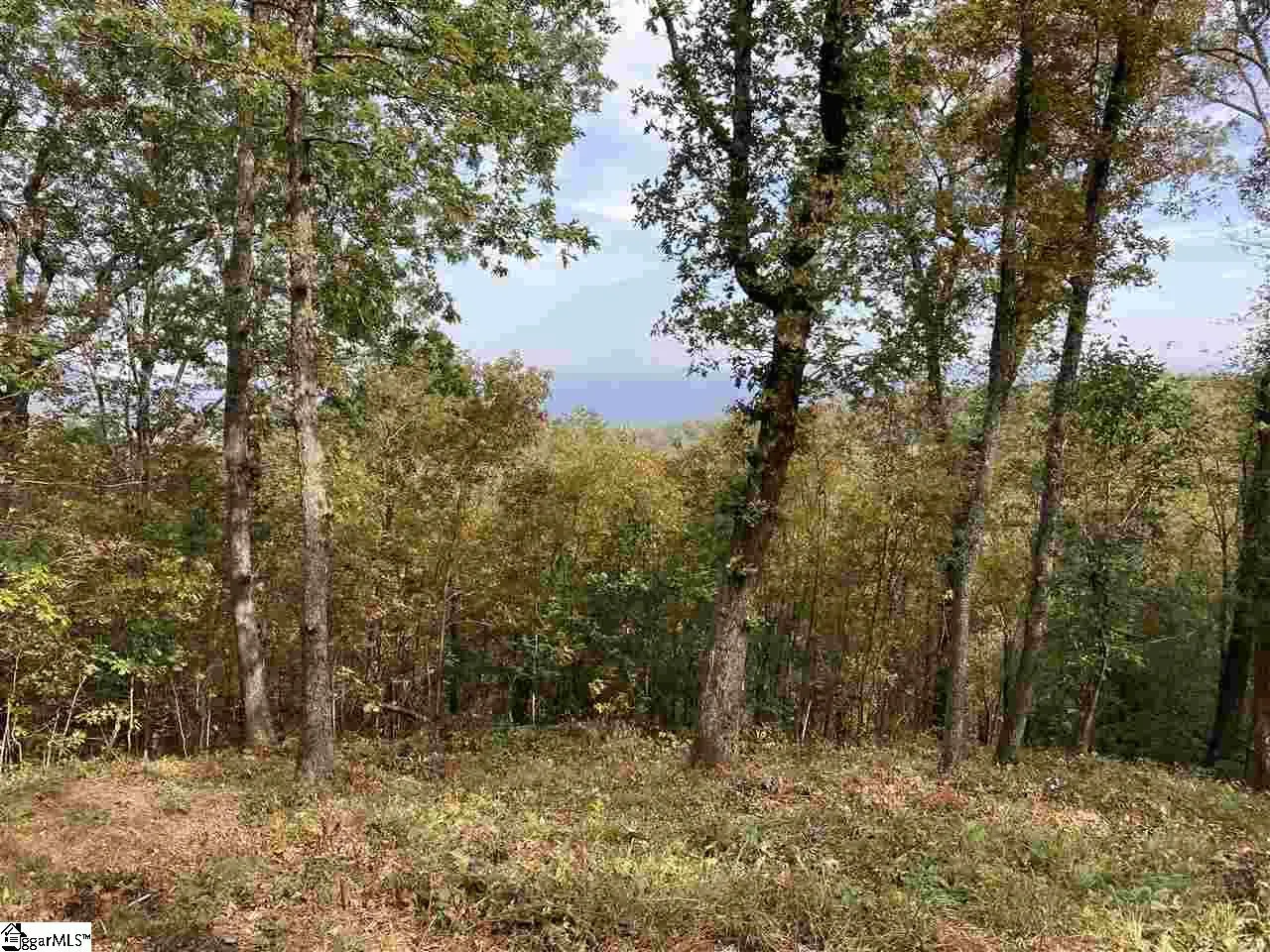 Property image 2 at 215 Yellowroot Lane, Landrum, SC 29356