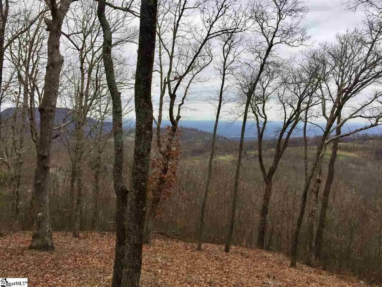 Property image 3 at 215 Yellowroot Lane, Landrum, SC 29356