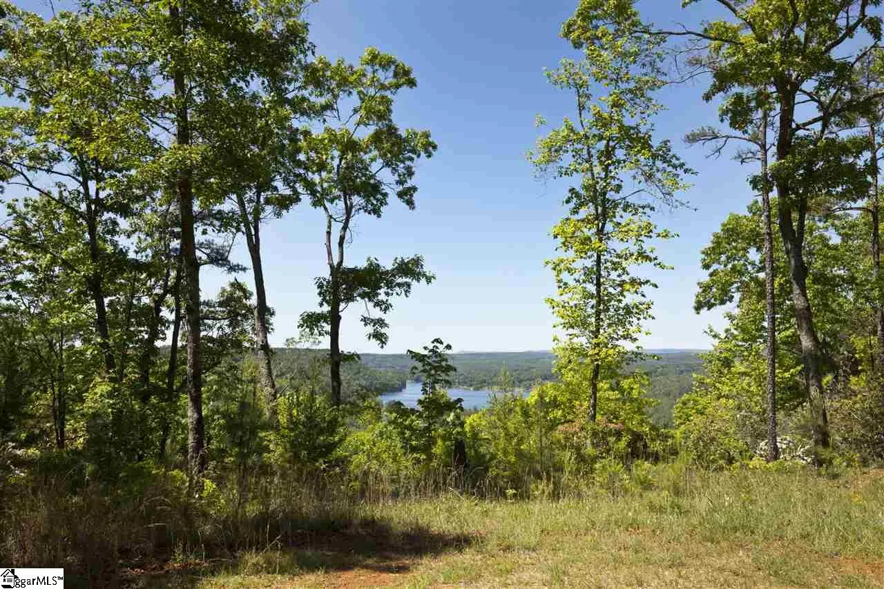 Property image 4 at 205 Appalachian Trail, Sunset, SC 29685