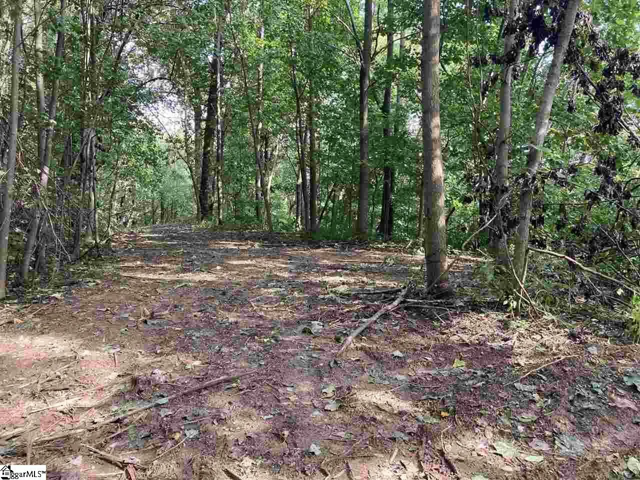 Property image 2 at Boulder Lookout Drive, Landrum, SC 29356