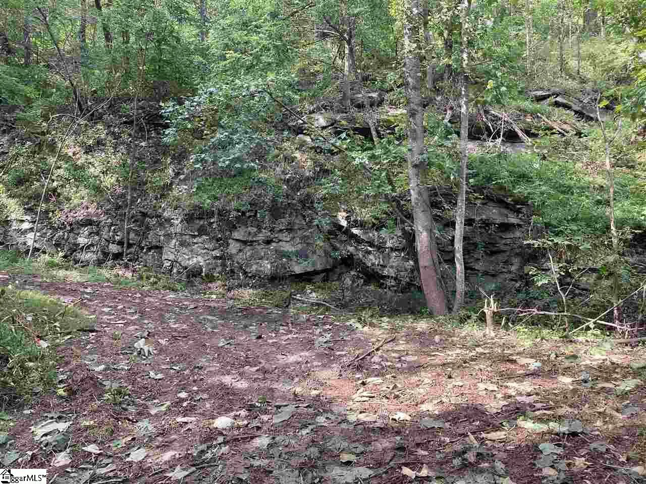 Property image 3 at Boulder Lookout Drive, Landrum, SC 29356
