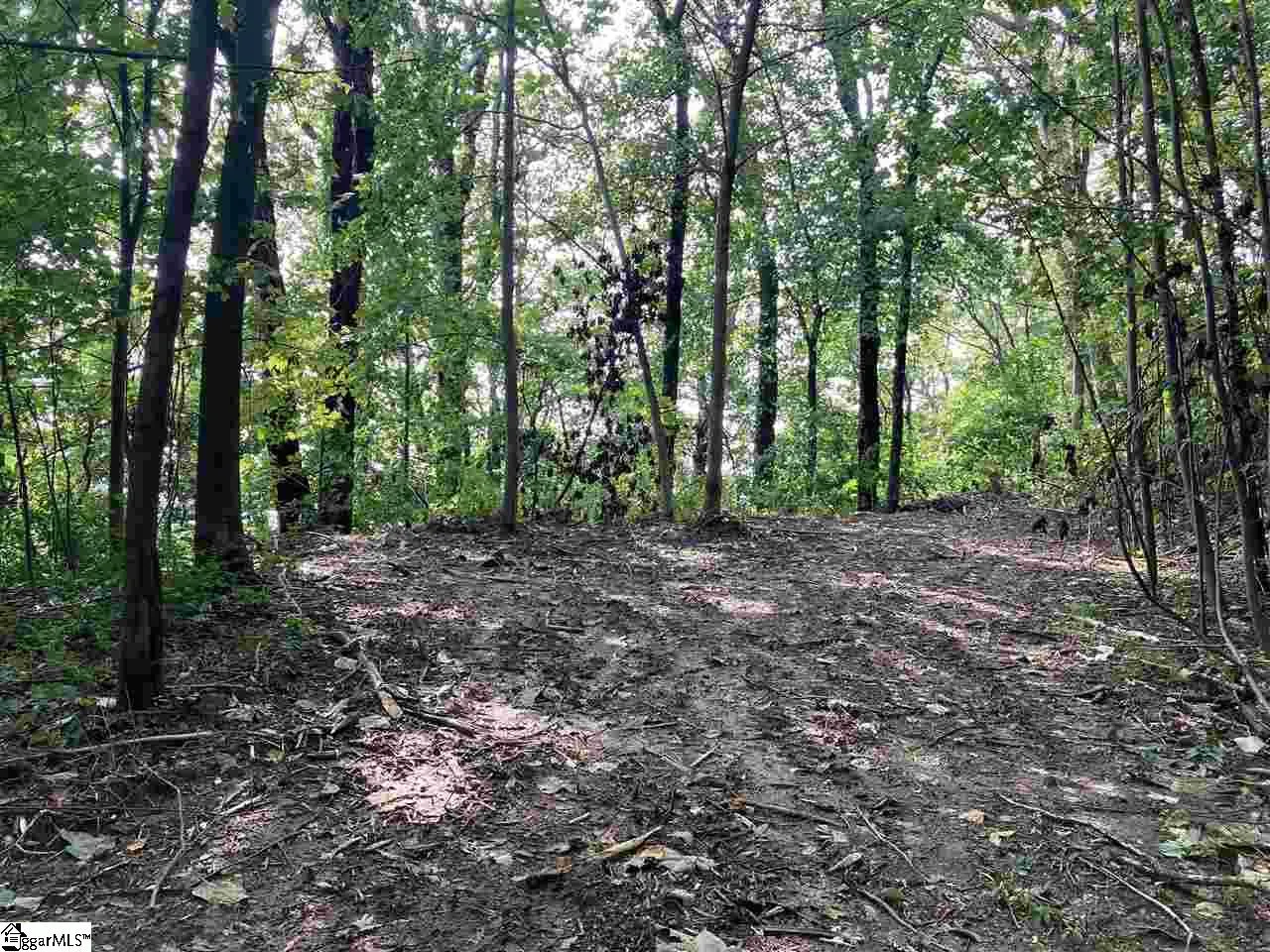 Property image 4 at Boulder Lookout Drive, Landrum, SC 29356