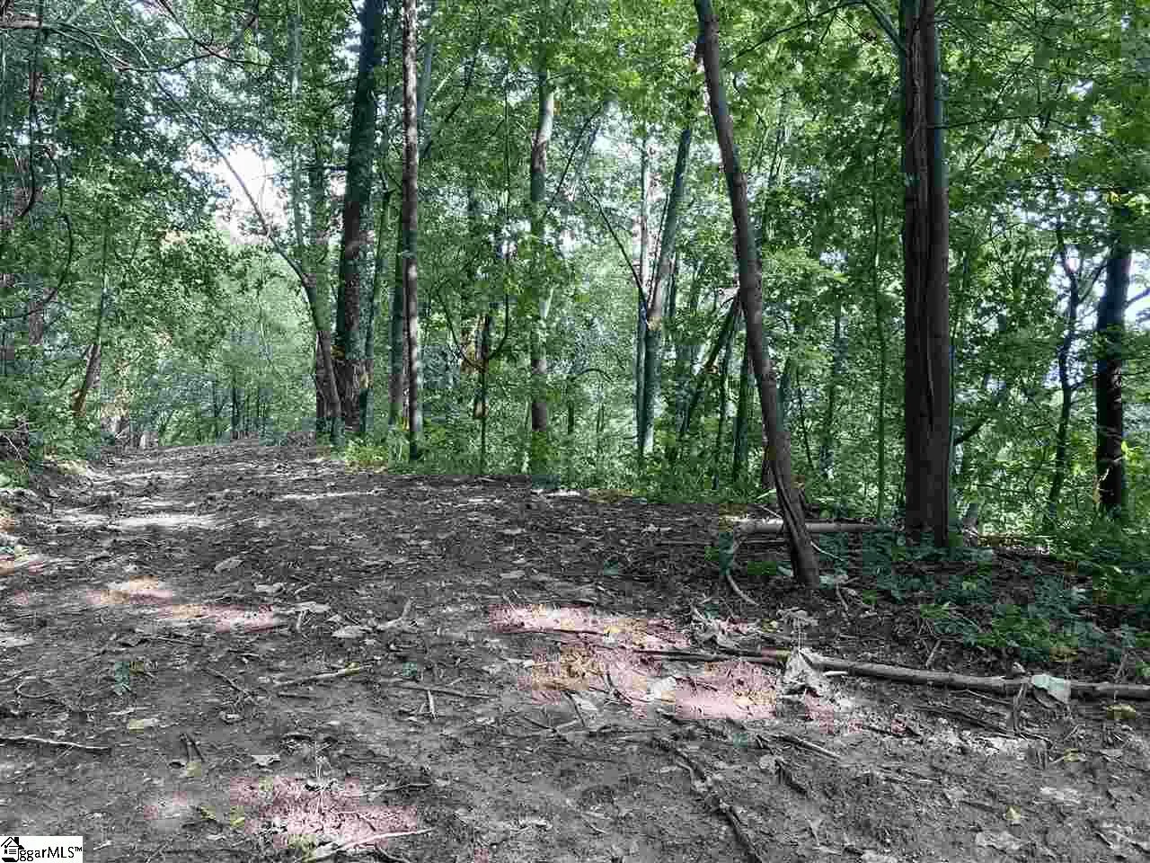 Property image 5 at Boulder Lookout Drive, Landrum, SC 29356