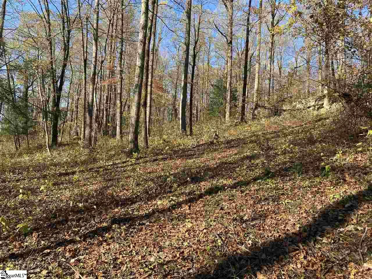 194 Catnip Trail