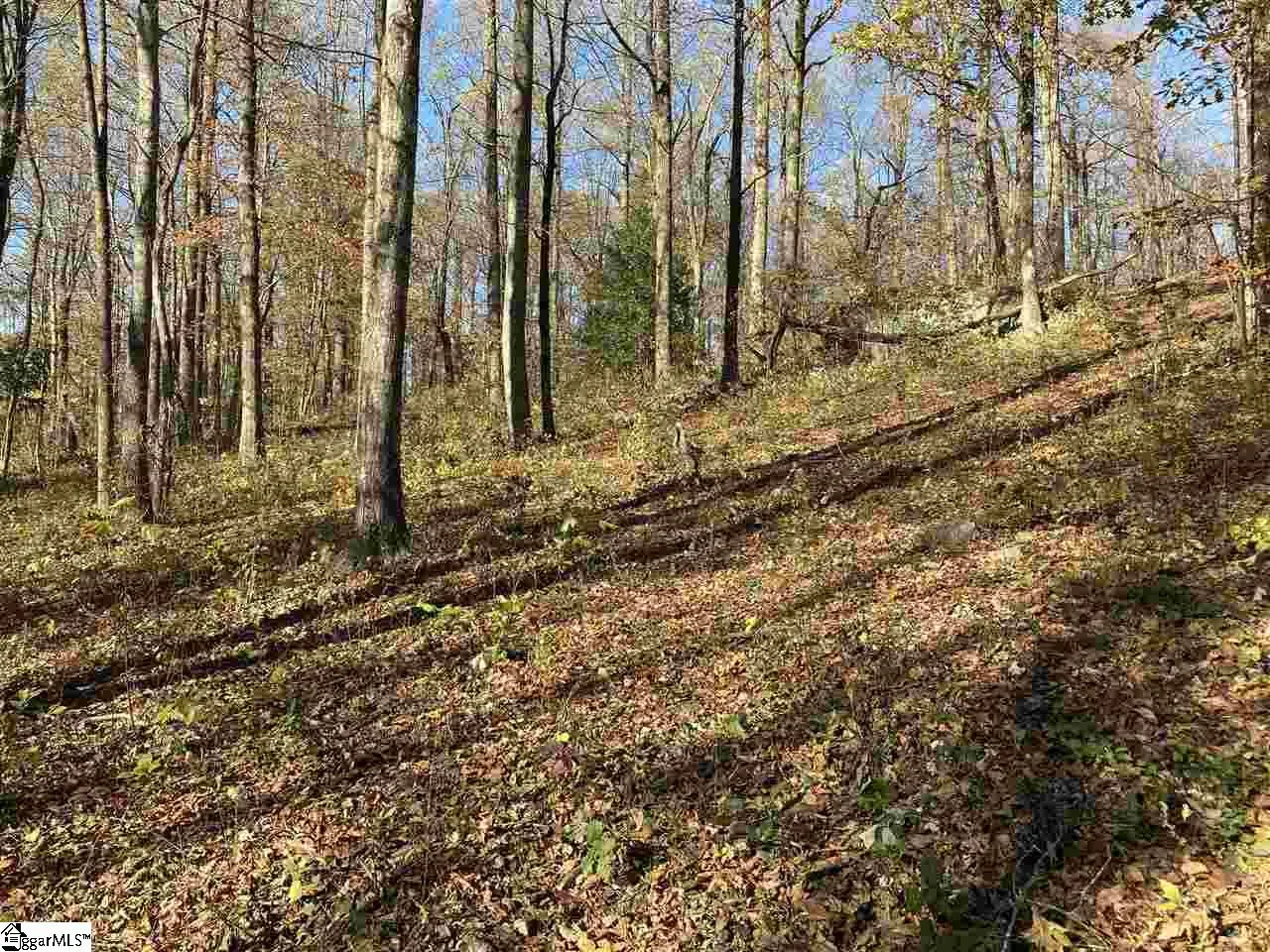 Property image 2 at 194 Catnip Trail, Landrum, SC 29356