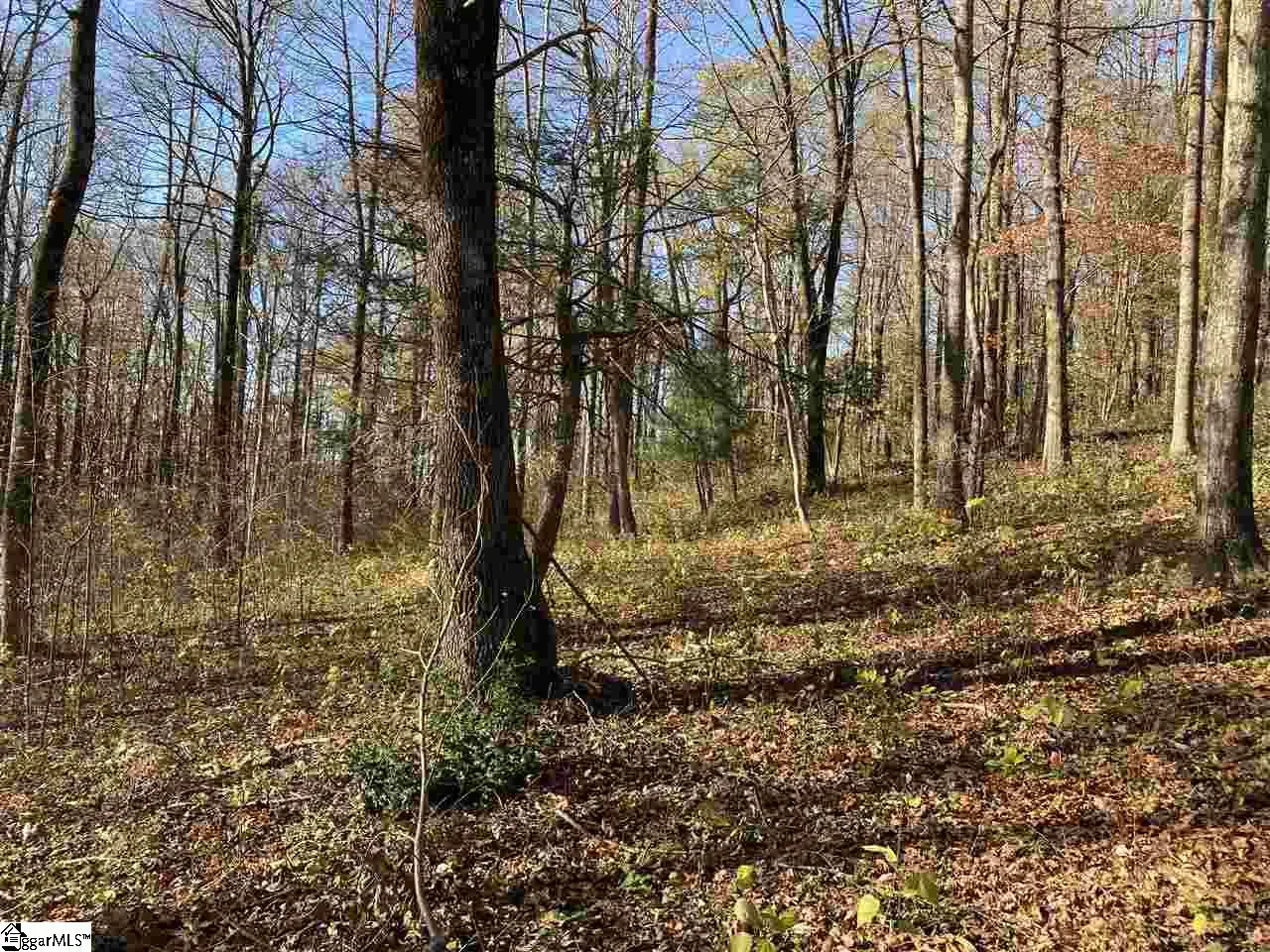 Property image 3 at 194 Catnip Trail, Landrum, SC 29356