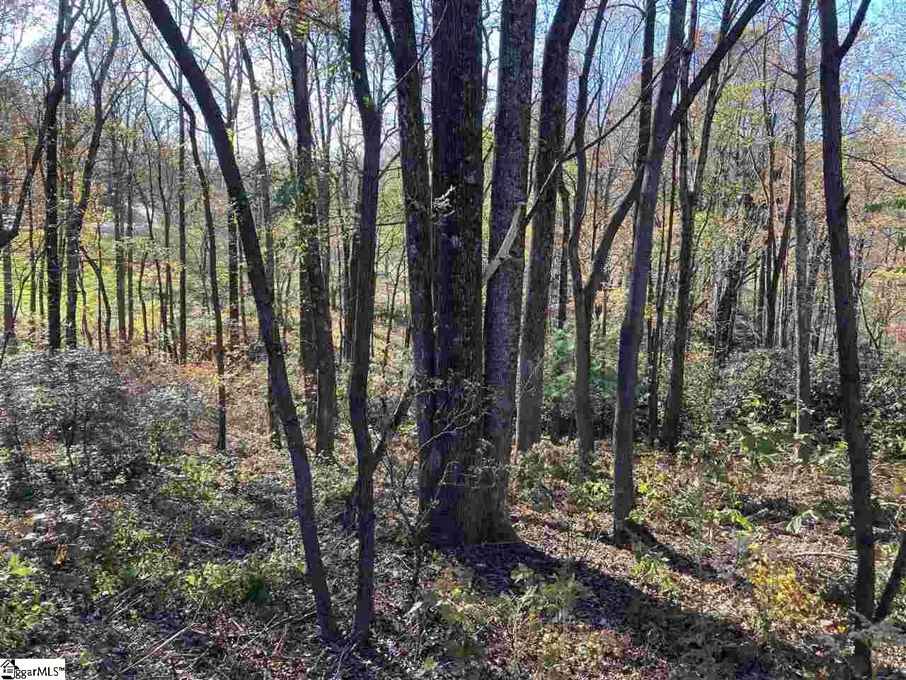 The Cliffs Parkway