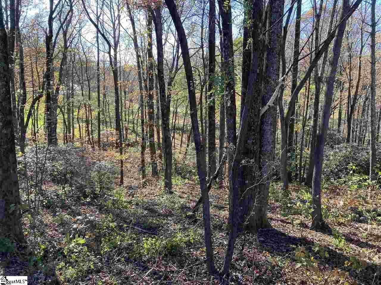 Property image 2 at The Cliffs Parkway, Landrum, SC 29356