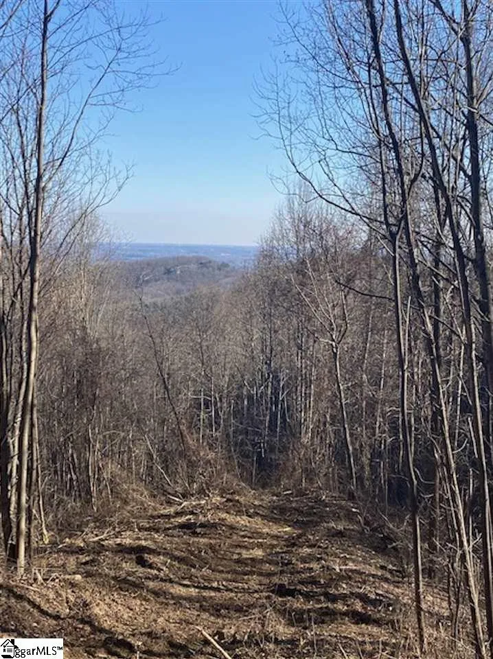 270 Foggy Cut Lane