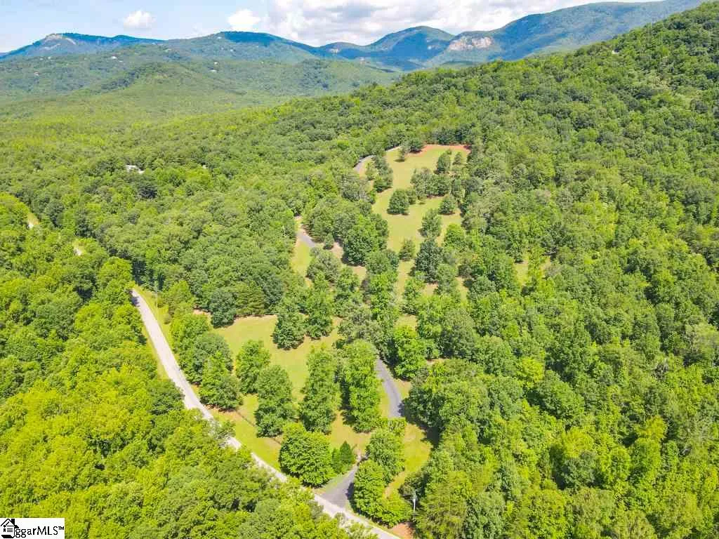 Property image 2 at 2000 Oak Grove Road, Landrum, SC 29356