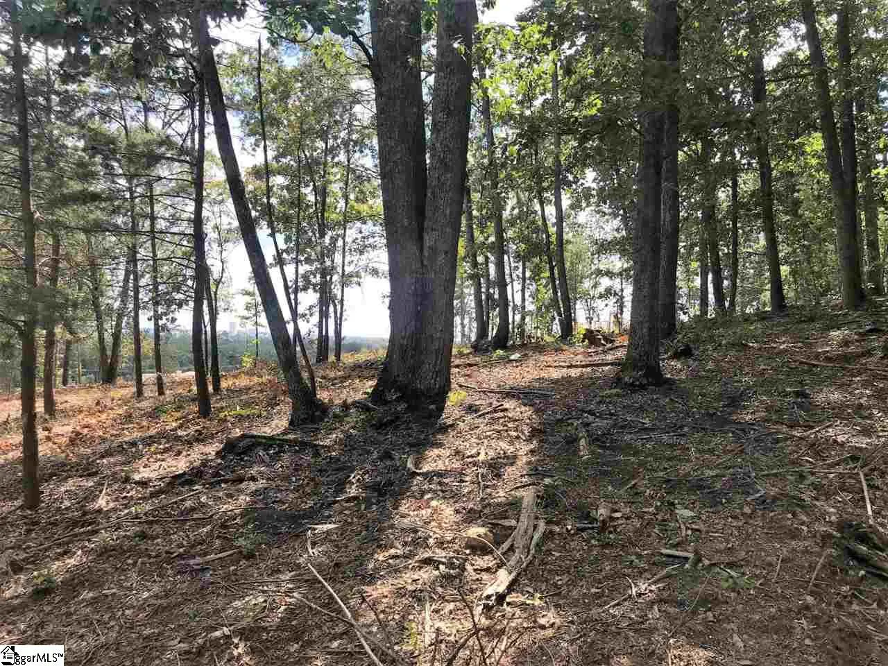 Property image 3 at 812 Montebello Drive, Greenville, SC 29609