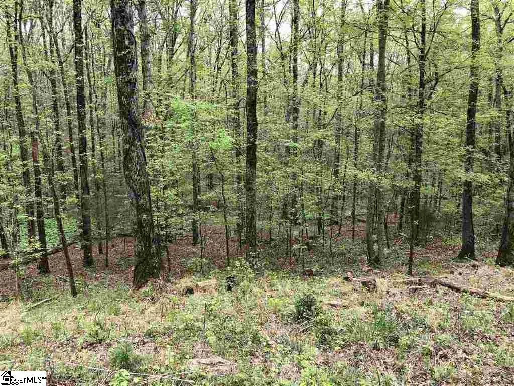 00 Oconee Avenue