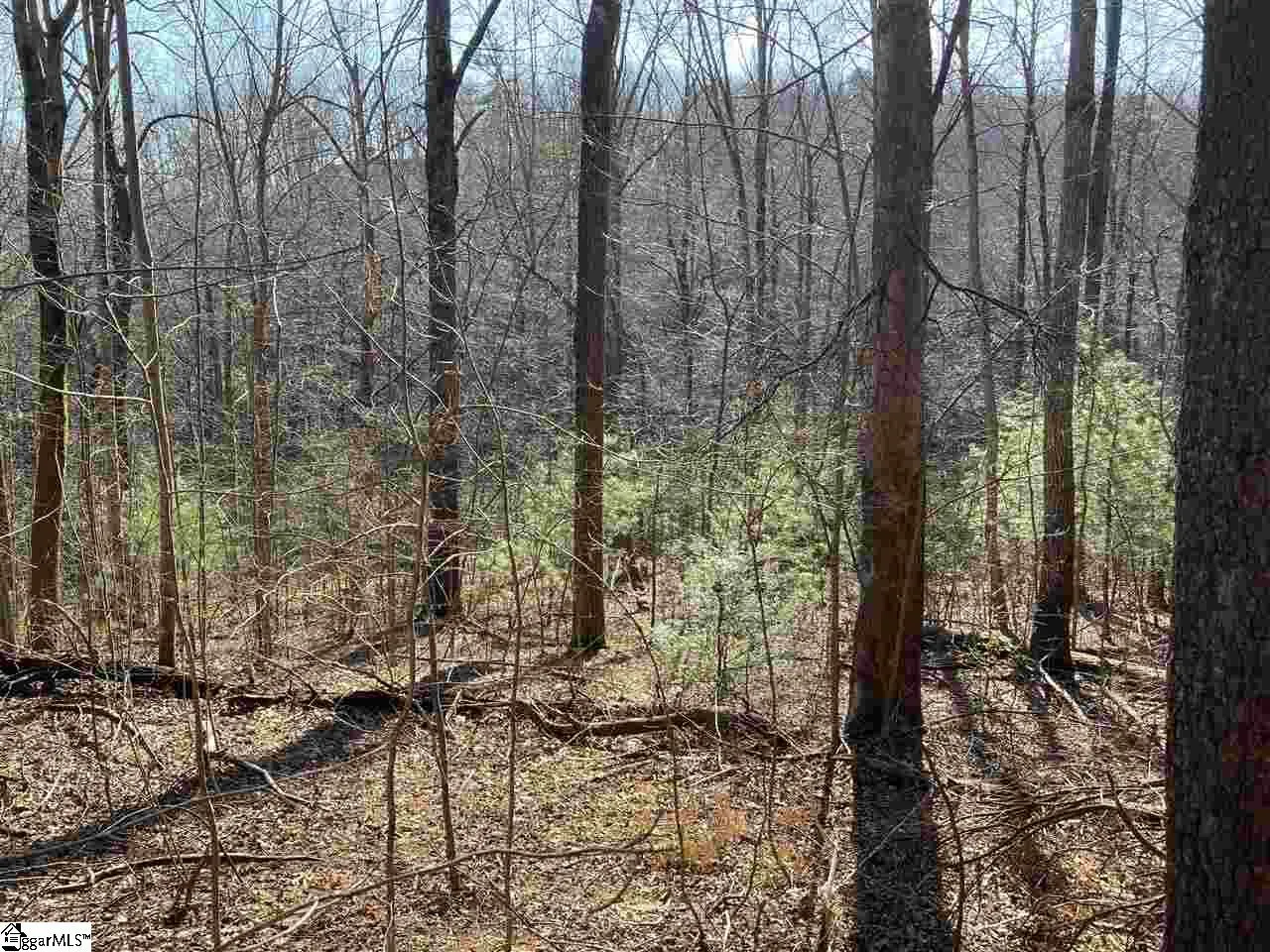Property image 2 at 135 Morning Glory Way, Landrum, SC 29356