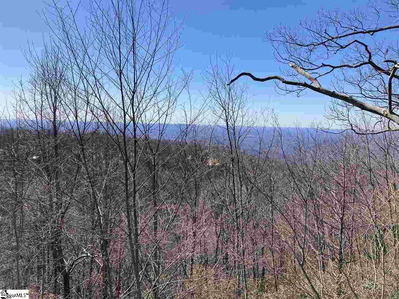 Property image 2 at Big Pine Rock Way, Landrum, SC 29356