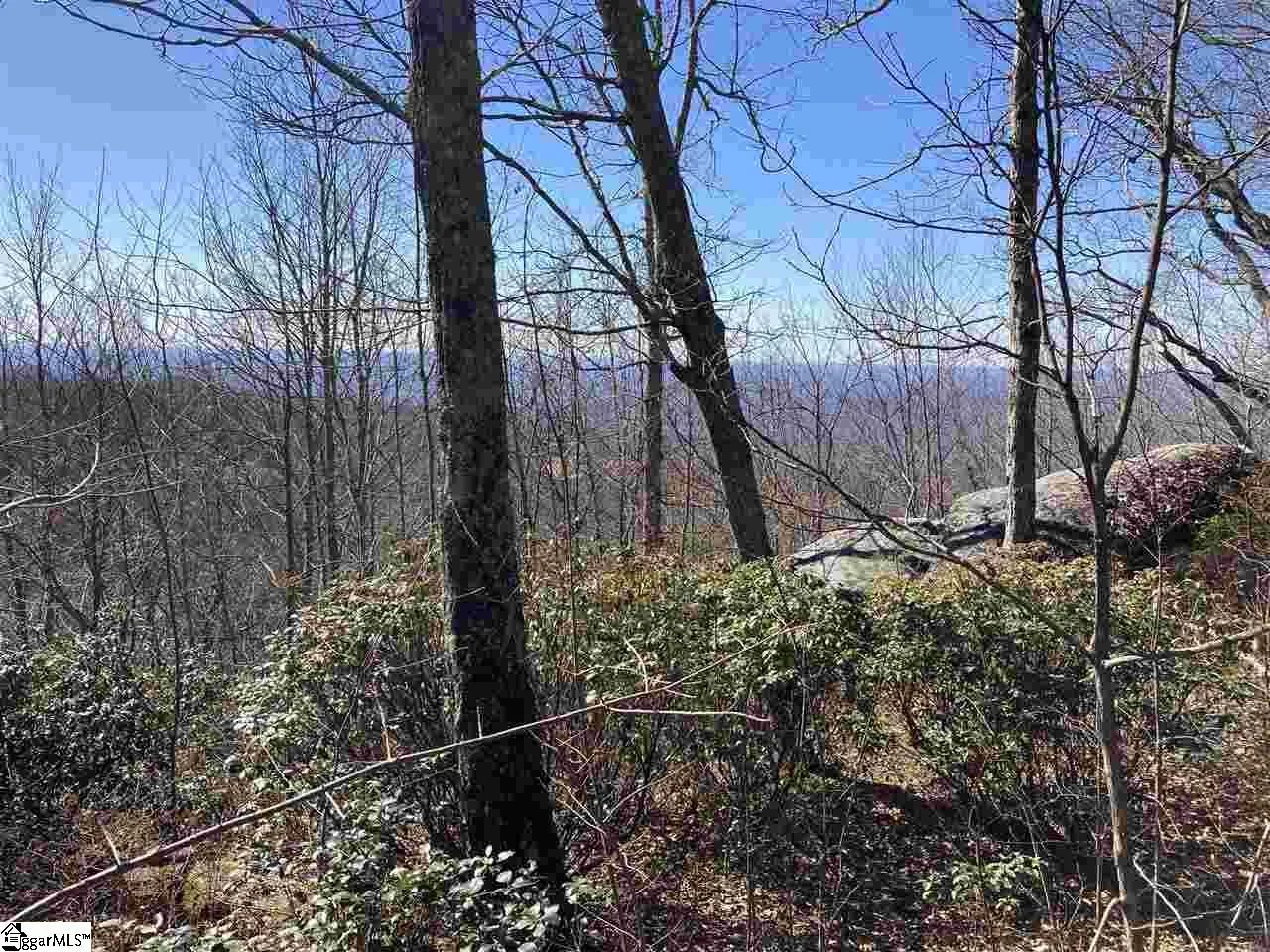Property image 3 at Big Pine Rock Way, Landrum, SC 29356