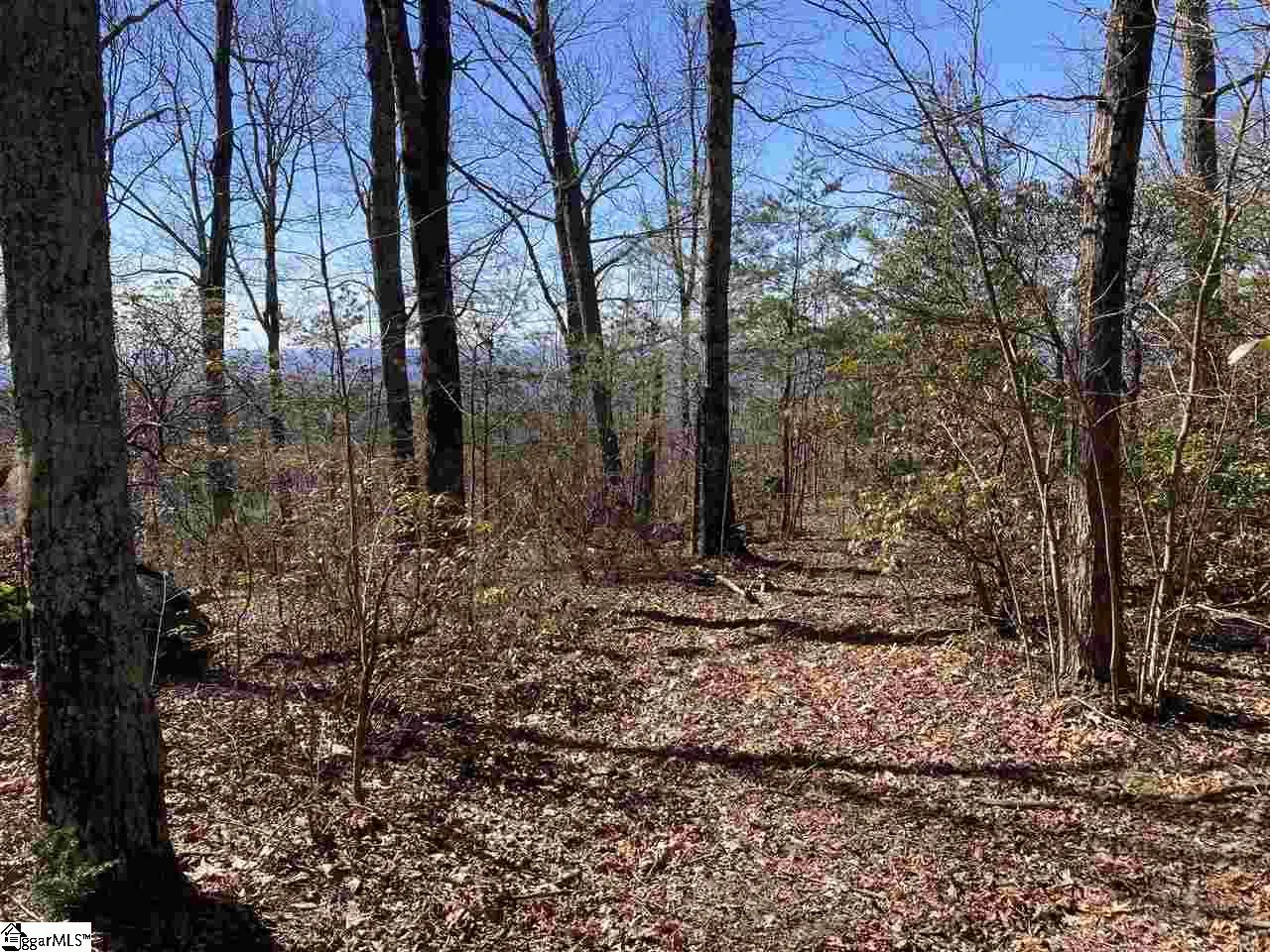 Property image 4 at Big Pine Rock Way, Landrum, SC 29356