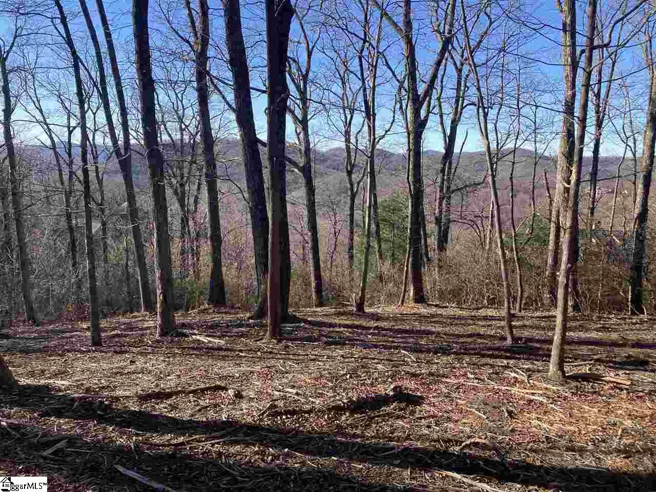 Property image 2 at Quiet Hills Lane, Travelers Rest, SC 29690