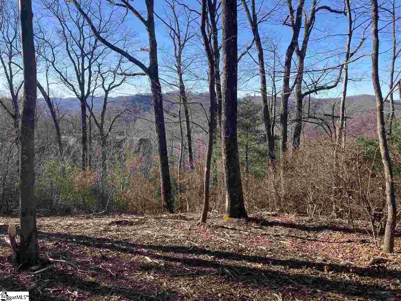 Property image 3 at Quiet Hills Lane, Travelers Rest, SC 29690